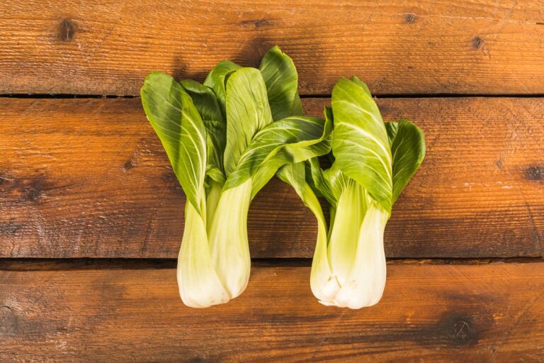 Pak-choi 2